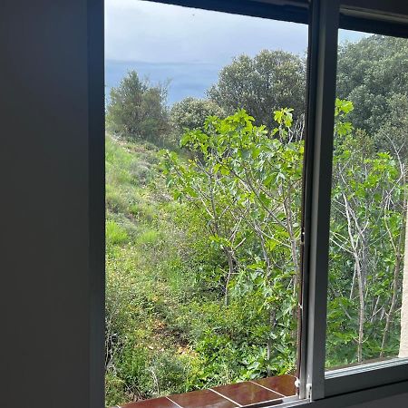 Apartaments La Pertusa 2O Corca  Dış mekan fotoğraf