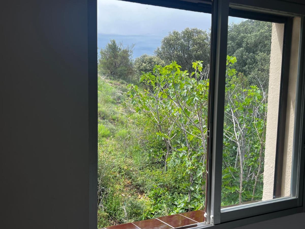 Apartaments La Pertusa 2O Corca  Dış mekan fotoğraf